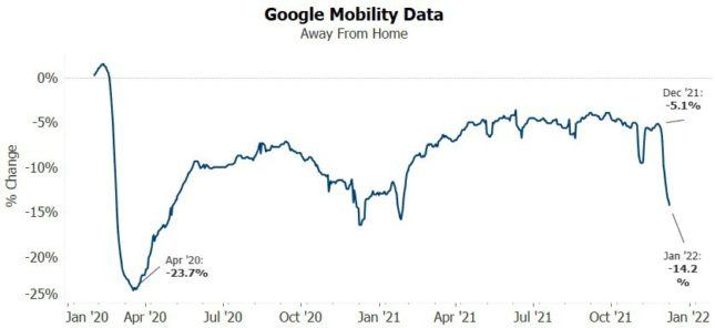 Google Mobility Data